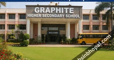 Graphite Higher Secondary School Jobs In Mandideep Bhopal